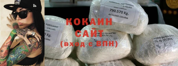 индика Иннополис