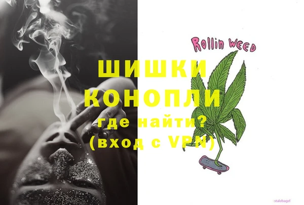 индика Иннополис