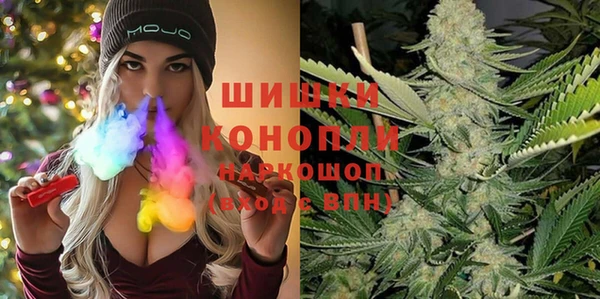 прущие грибы Зерноград