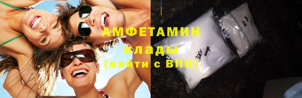 крисы Инсар