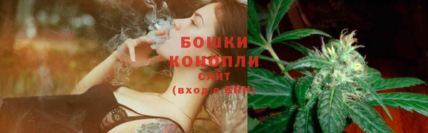 крисы Инсар