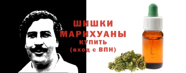 крисы Инсар