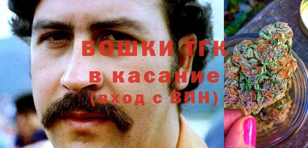 амф Инта