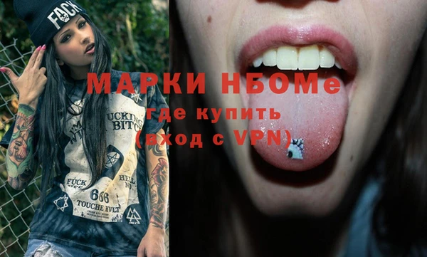 индика Иннополис
