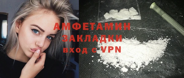 индика Иннополис