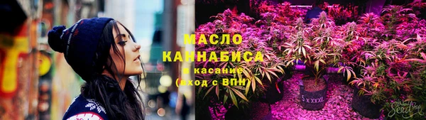крисы Инсар