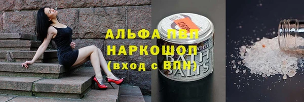 прущие грибы Зерноград
