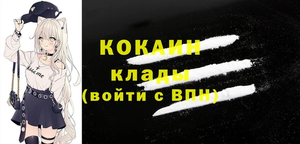крисы Инсар